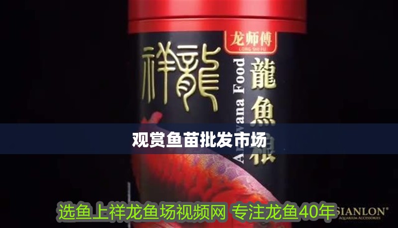 觀賞魚苗批發市場