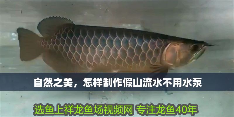 自然之美，怎樣制作假山流水不用水泵