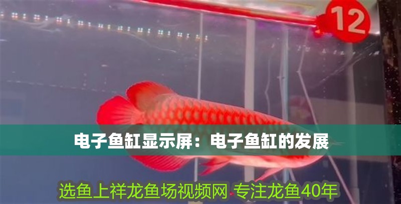 電子魚缸顯示屏：電子魚缸的發展