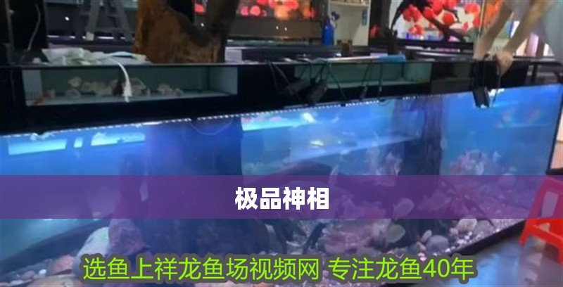 極品神相