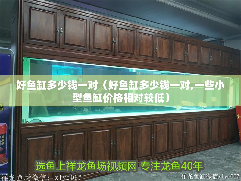 好魚缸多少錢一對（好魚缸多少錢一對,一些小型魚缸價格相對較低）