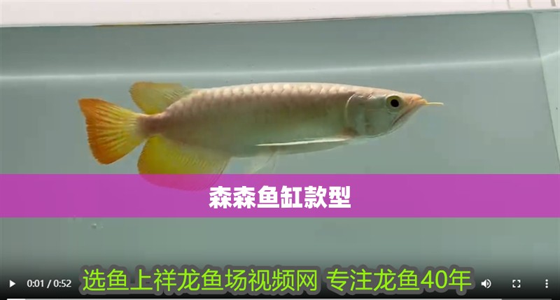 森森魚缸款型