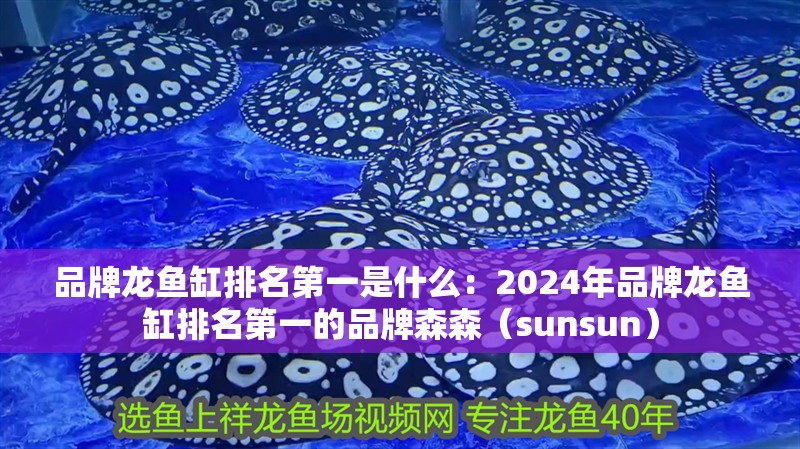 品牌龍魚缸排名第一是什么：2024年品牌龍魚缸排名第一的品牌森森（sunsun）