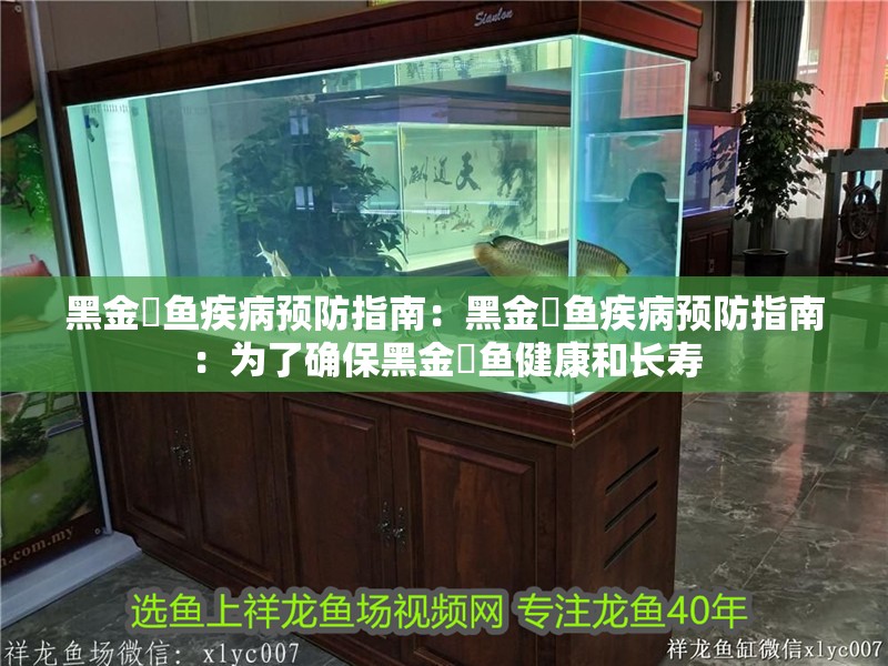 黑金魟魚疾病預防指南：黑金魟魚疾病預防指南：為了確保黑金魟魚健康和長壽