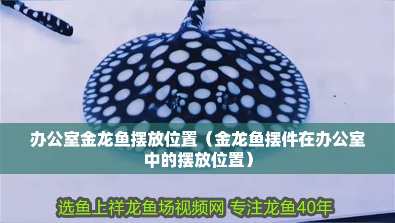 辦公室金龍魚擺放位置（金龍魚擺件在辦公室中的擺放位置）
