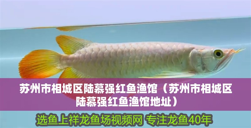 蘇州市<strong><mark>相城</mark></strong>區陸慕強紅魚漁館（蘇州市<strong><mark>相城</mark></strong>區陸慕強紅魚漁館地址）
