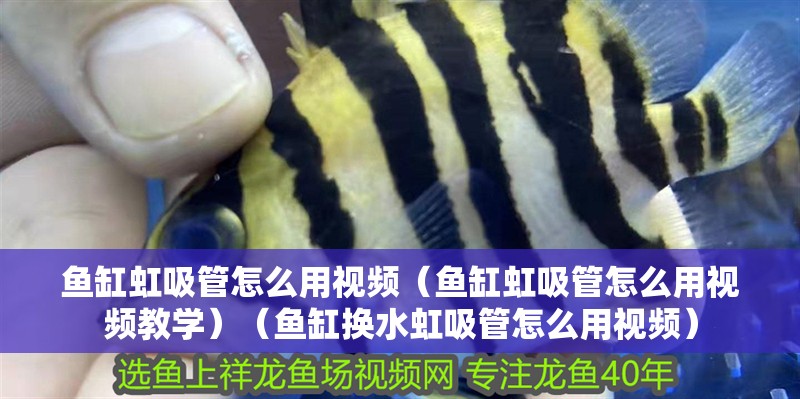 魚(yú)缸虹吸管怎么用視頻（魚(yú)缸虹吸管怎么用視頻教學(xué)）（魚(yú)缸換水虹吸管怎么用視頻）