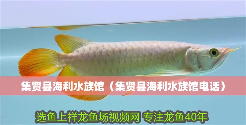 集賢縣海利水族館（集賢縣海利水族館電話）