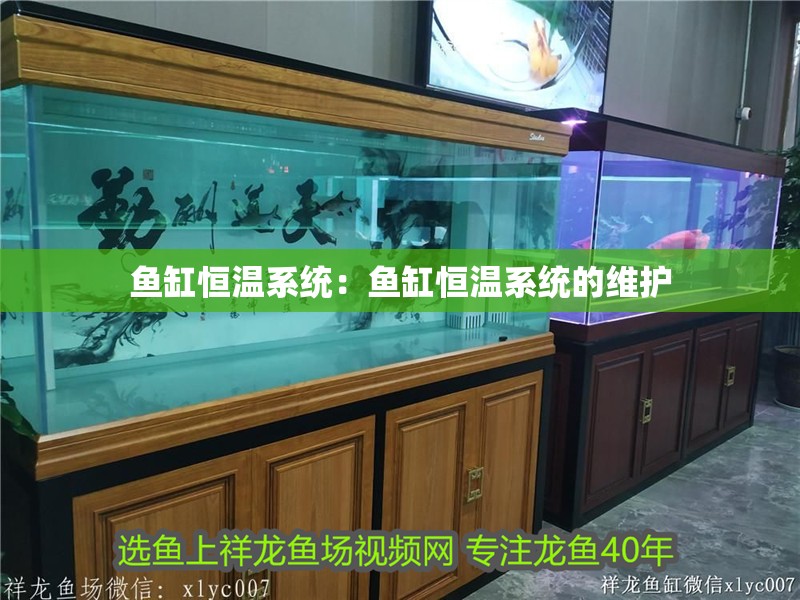 魚缸恒溫系統：魚缸恒溫系統的維護