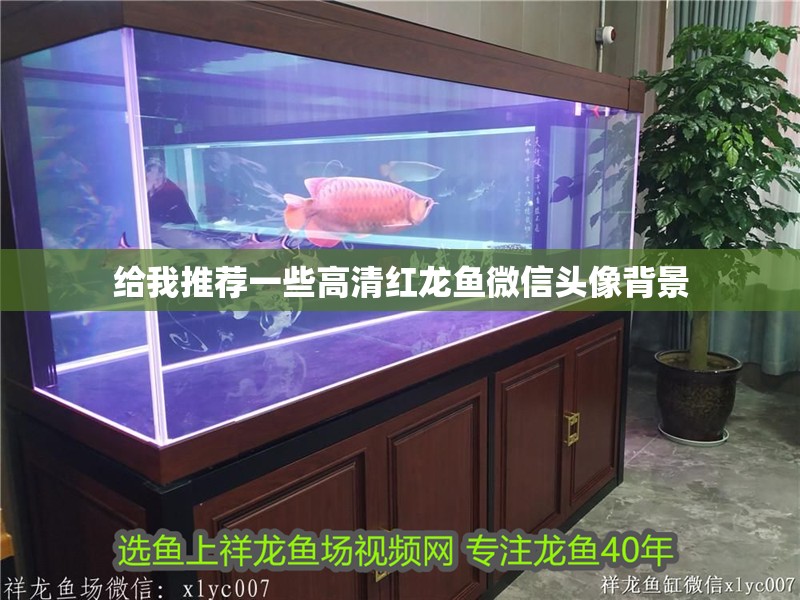 給我推薦一些高清紅龍魚微信頭像背景