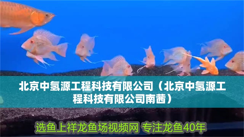 <strong><mark>北京</mark></strong>中氫源工程科技有限公司（<strong><mark>北京</mark></strong>中氫源工程科技有限公司南茜）