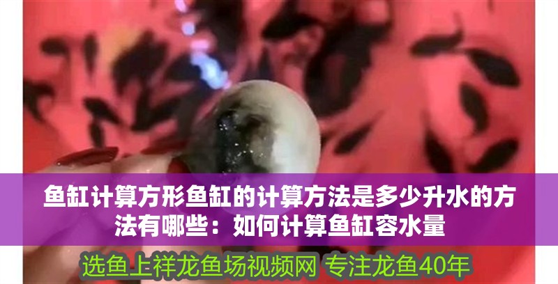 魚缸計算方形魚缸的計算方法是多少升水的方法有哪些：如何計算魚缸容水量