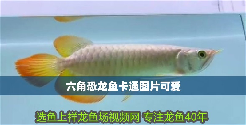 六角恐龍魚卡通圖片可愛