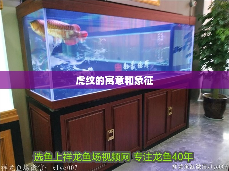 虎紋的寓意和象征
