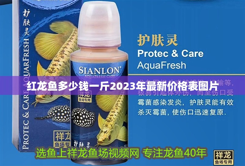 紅龍魚多少錢一斤2023年最新價格表圖片