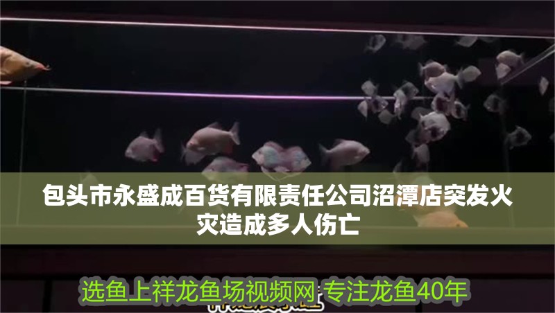 包頭市永盛成百貨有限責任公司沼潭店突發火災造成多人傷亡