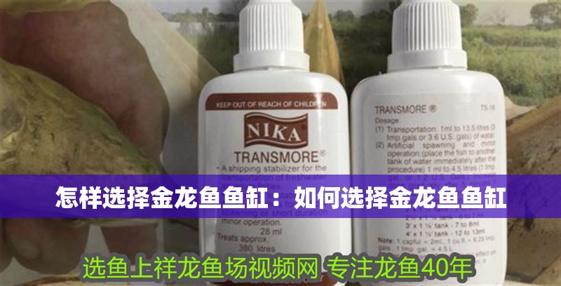 怎樣選擇金龍魚魚缸：如何選擇金龍魚魚缸