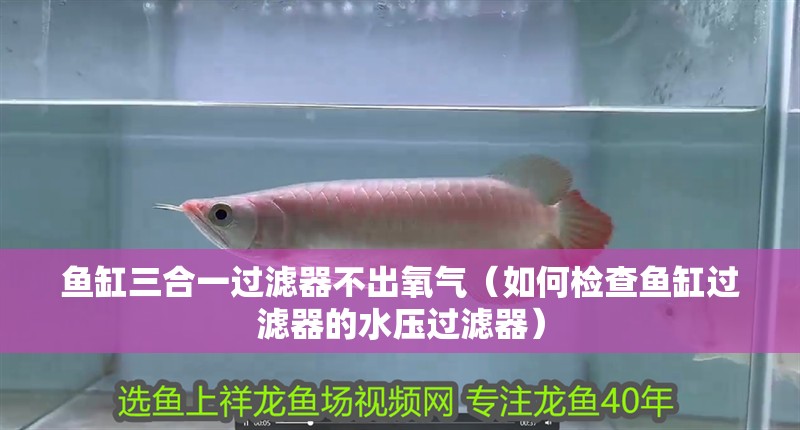魚缸三合一過濾器不出氧氣（如何檢查魚缸過濾器的水壓過濾器） 魚缸三合一過濾器不出氧氣（如何檢查魚缸過濾器的水壓過濾器） 龍魚百科