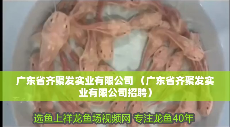 廣東省齊聚發實業有限公司 （廣東省齊聚發實業有限公司招聘） 廣東省齊聚發實業有限公司 （廣東省齊聚發實業有限公司招聘） 全國水族館企業名錄