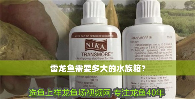 雷龍魚需要多大的水族箱？