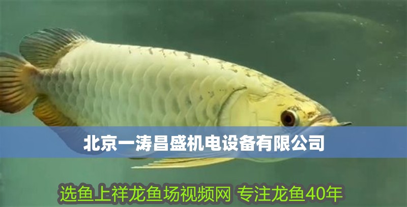 北京一濤昌盛機電設備有限公司 北京一濤昌盛機電設備有限公司 全國水族館企業名錄