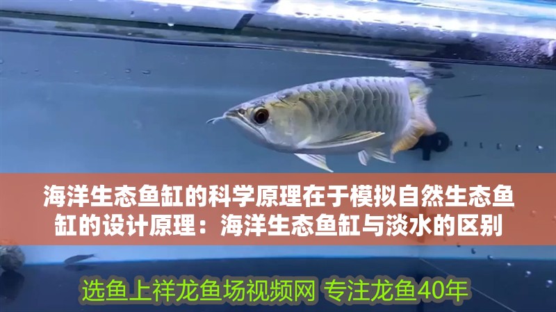 海洋生態魚缸的科學原理在于模擬自然生態魚缸的設計原理：海洋生態魚缸與淡水的區別
