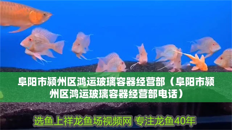 阜陽市潁州區(qū)鴻運玻璃容器經營部（阜陽市潁州區(qū)鴻運玻璃容器經營部電話）