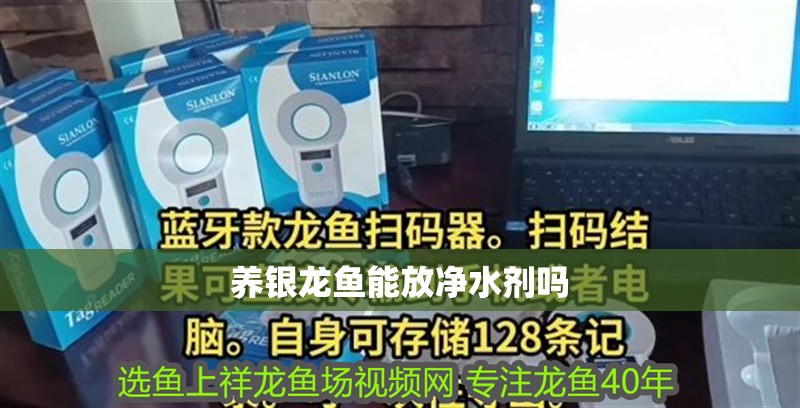 養銀龍魚能放凈水劑嗎 養銀龍魚能放凈水劑嗎 龍魚百科