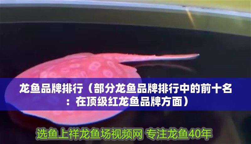 龍魚品牌排行（部分龍魚品牌排行中的前十名：在頂級紅龍魚品牌方面） 龍魚品牌排行（部分龍魚品牌排行中的前十名：在頂級紅龍魚品牌方面） 龍魚百科