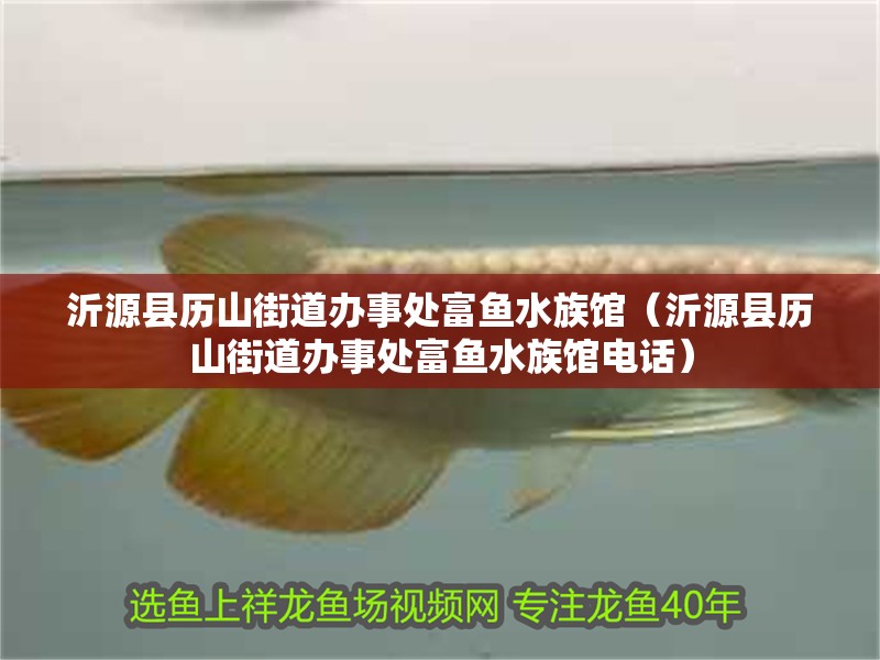 沂源縣歷山街道辦事處富魚水族館（沂源縣歷山街道辦事處富魚水族館電話）