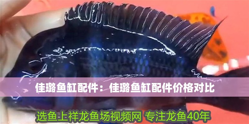 佳璐魚缸配件：佳璐魚缸配件價(jià)格對比