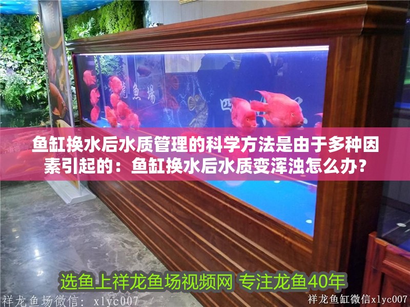 魚缸換水后水質管理的科學方法是由于多種因素引起的：魚缸換水后水質變渾濁怎么辦？
