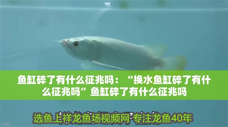 魚缸碎了有什么征兆嗎：“換水魚缸碎了有什么征兆嗎”魚缸碎了有什么征兆嗎