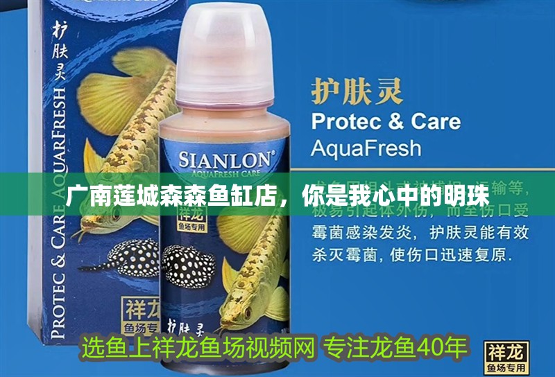 廣南蓮城森森魚缸店，你是我心中的明珠