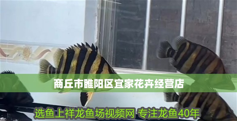 <strong><mark>商丘</mark></strong>市睢陽區宜家花卉經營店