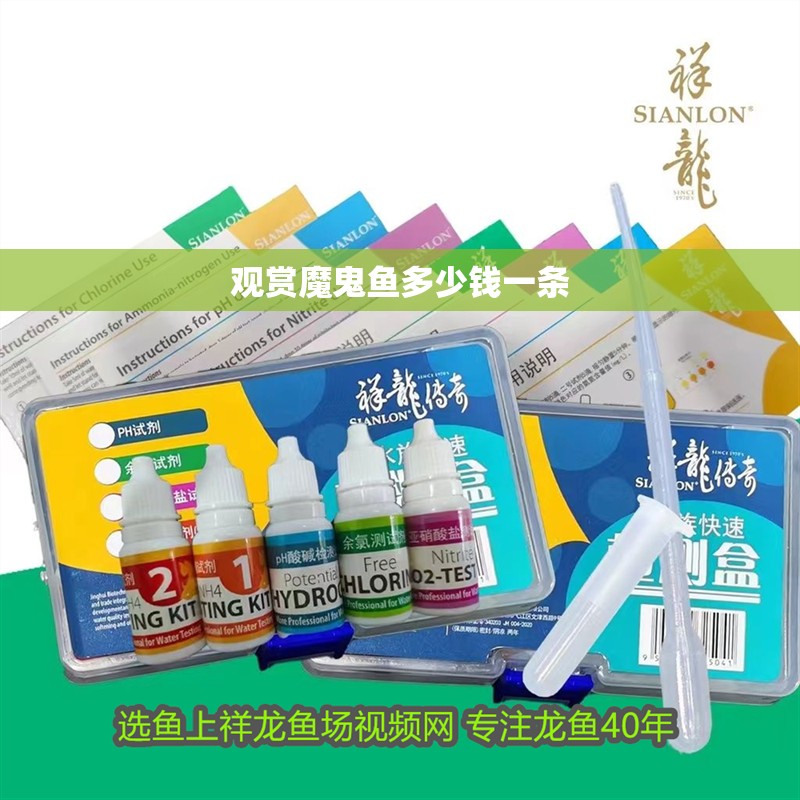 觀賞魔鬼魚(yú)多少錢(qián)一條