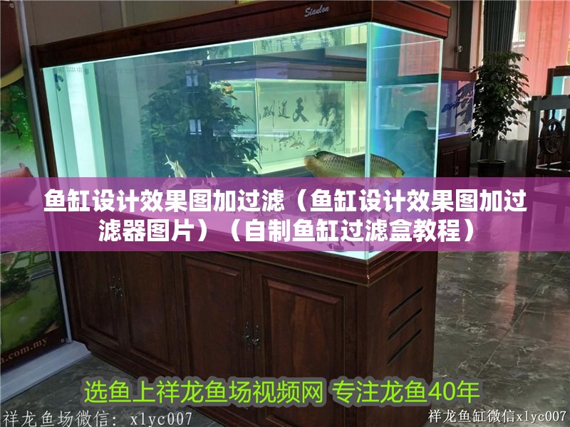 魚缸設計效果圖加過濾（魚缸設計效果圖加過濾器圖片）（自制魚缸過濾盒教程） 魚缸設計效果圖加過濾（魚缸設計效果圖加過濾器圖片）（自制魚缸過濾盒教程） 魚缸百科