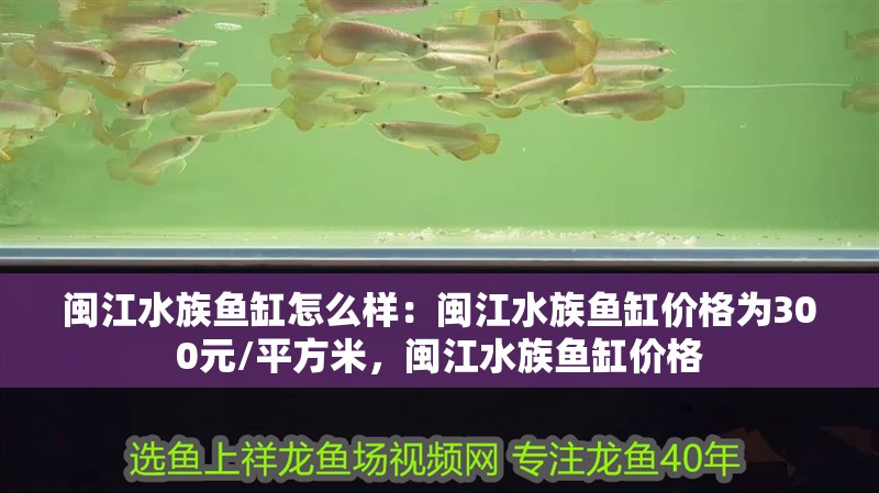閩江水族魚缸怎么樣：閩江水族魚缸價格為300元/平方米，閩江水族魚缸價格