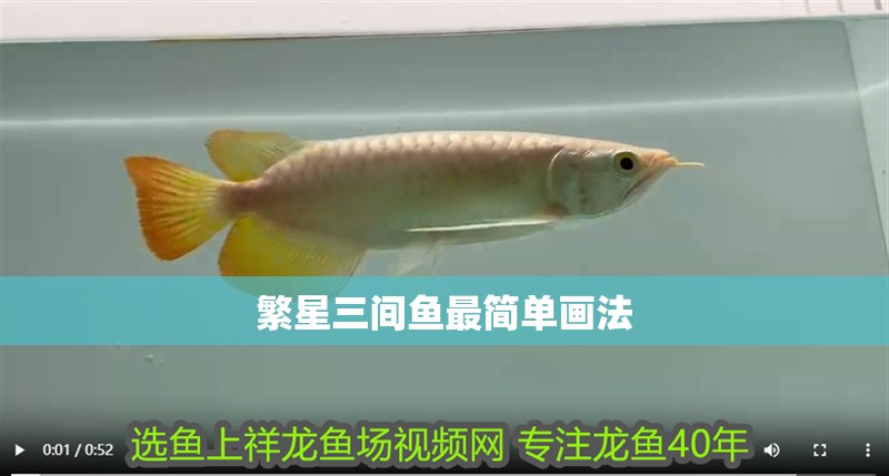 繁星三間魚最簡單畫法