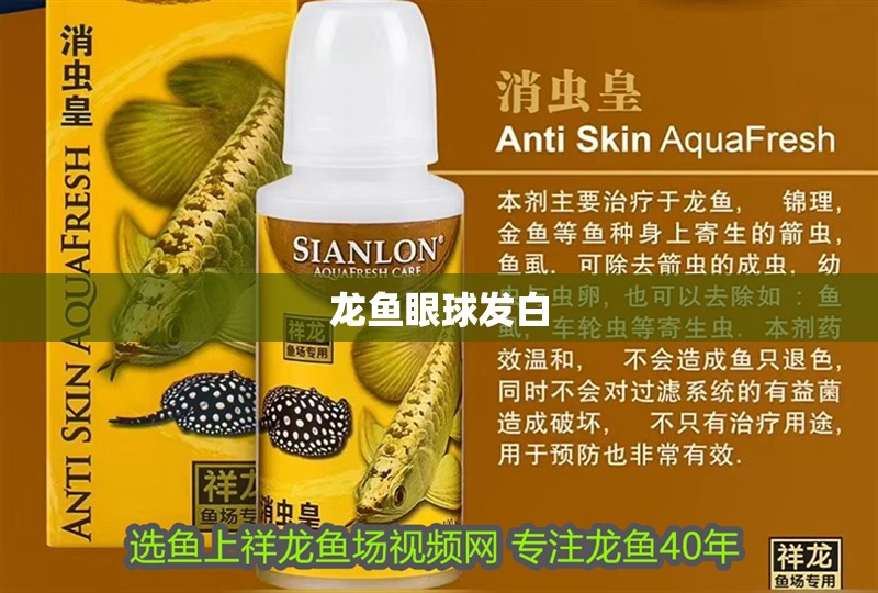 龍魚眼球發白
