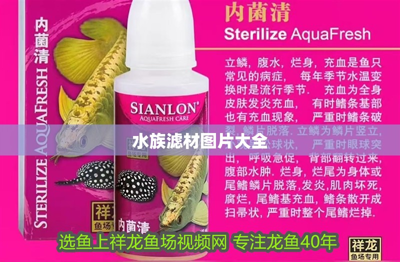 水族濾材圖片大全