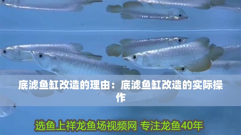 底濾魚(yú)缸改造的理由：底濾魚(yú)缸改造的實(shí)際操作