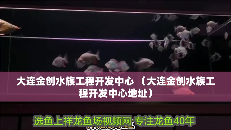 大連金創(chuàng)水族工程開發(fā)中心 （大連金創(chuàng)水族工程開發(fā)中心地址）