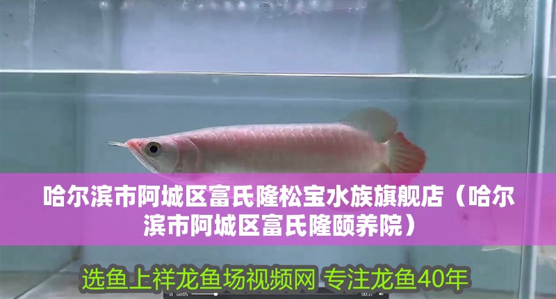 哈爾濱市<strong><mark>阿城</mark></strong>區富氏隆松寶水族旗艦店（哈爾濱市<strong><mark>阿城</mark></strong>區富氏隆頤養院）