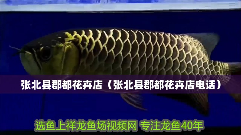 張北縣郡都花卉店（張北縣郡都花卉店電話） 張北縣郡都花卉店（張北縣郡都花卉店電話） 全國水族館企業名錄