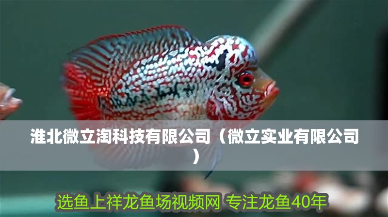 淮北微立淘科技有限公司（微立實業有限公司）