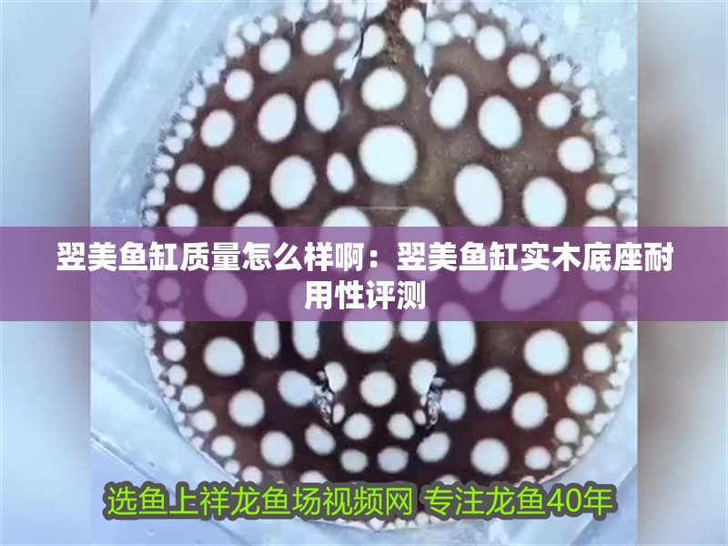 翌美魚缸質(zhì)量怎么樣啊：翌美魚缸實木底座耐用性評測