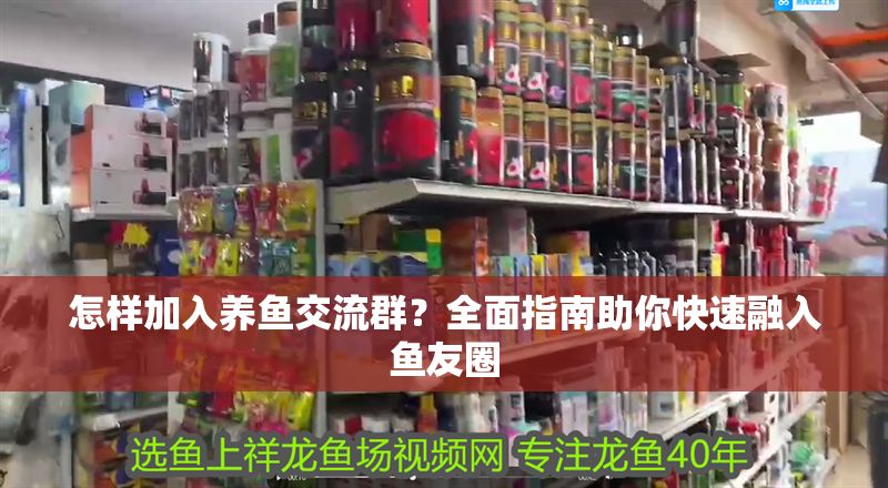 怎樣加入養魚交流群？全面指南助你快速融入魚友圈 怎樣加入養魚交流群？全面指南助你快速融入魚友圈 龍魚百科 第1張