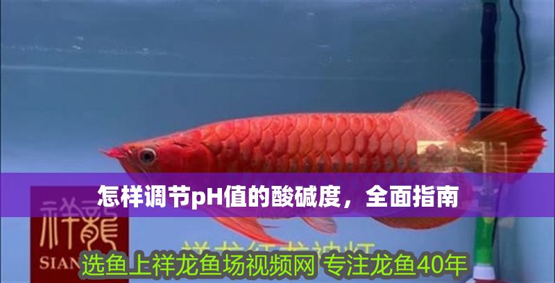 怎樣調(diào)節(jié)pH值的酸堿度，全面指南