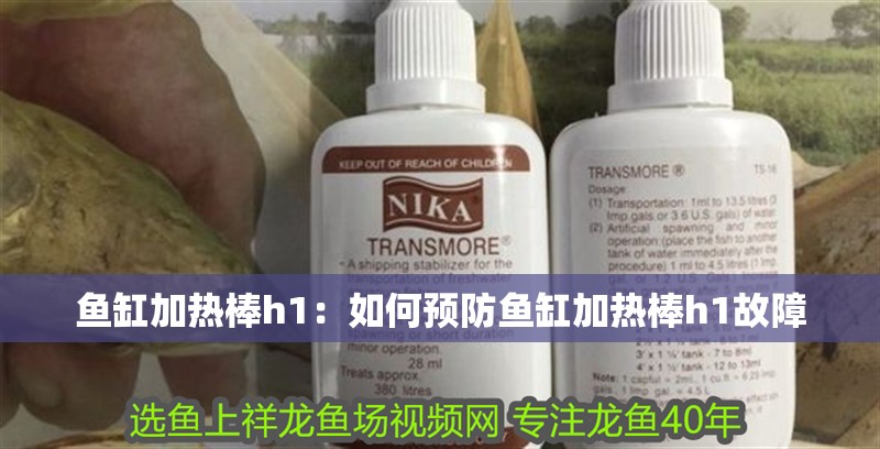 我的虎魚真菌感染了要怎么處理 魚缸加熱棒h1:如何預(yù)防魚缸加熱棒h1故障 魚缸百科 魚缸加熱棒h1:如何預(yù)防魚缸加熱棒h1故障 魚缸加熱棒h1:如何預(yù)防魚缸加熱棒h1故障 魚缸百科